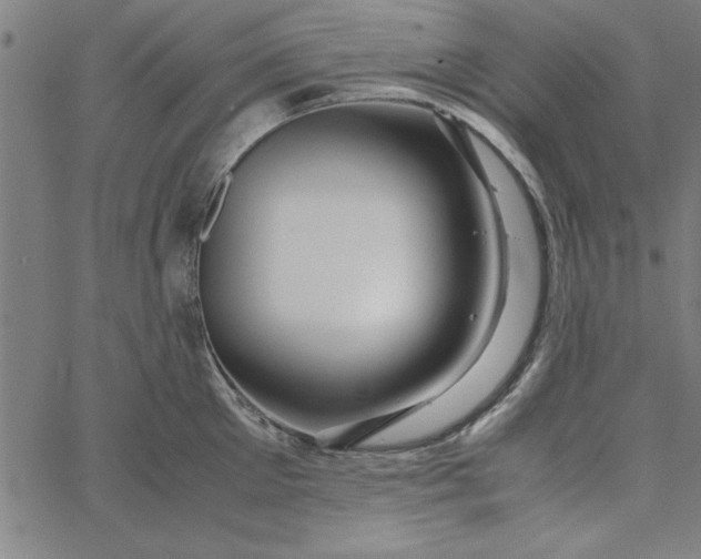 X0000065250905200603031800