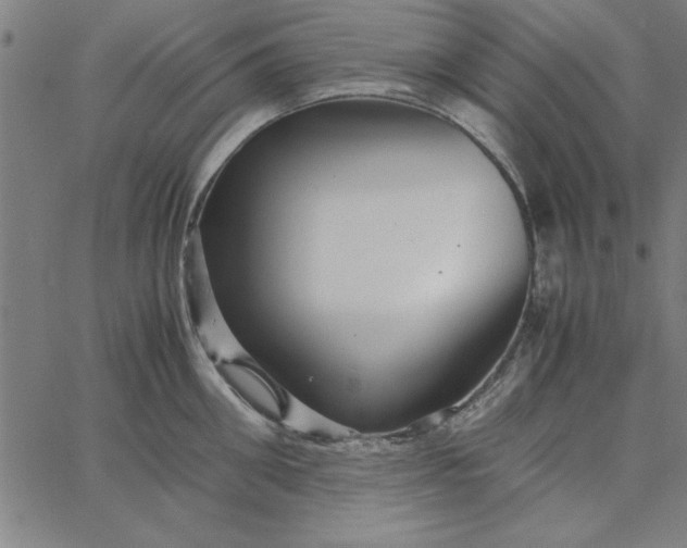 X0000065250906200603031800