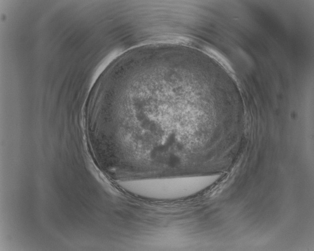 X0000065250907200603031800