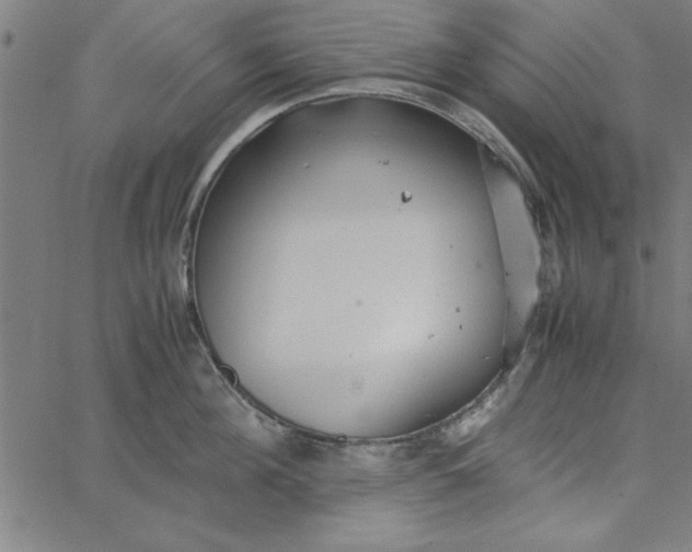 X0000065250908200603031800