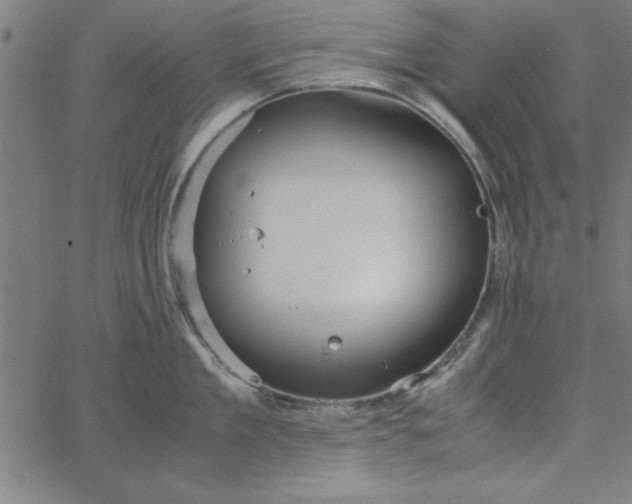 X0000065250909200603031800