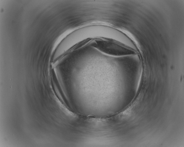 X0000065250910200603031800