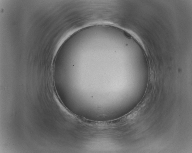 X0000065250911200603031800