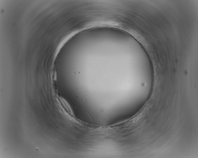 X0000065250912200603031800