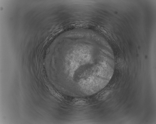 X0000065250913200603031759