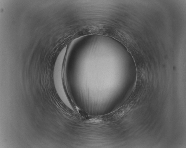 X0000065250914200603031759