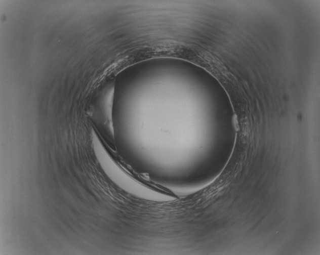 X0000065250916200603031759