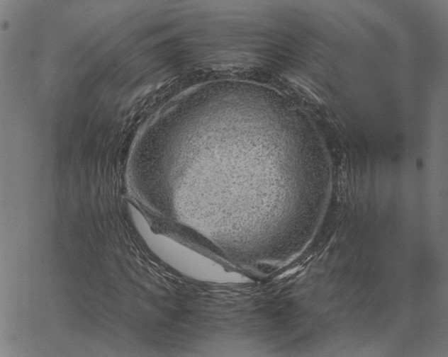 X0000065250917200603031759