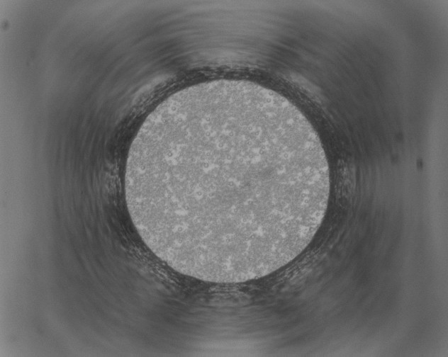 X0000065250918200603031759