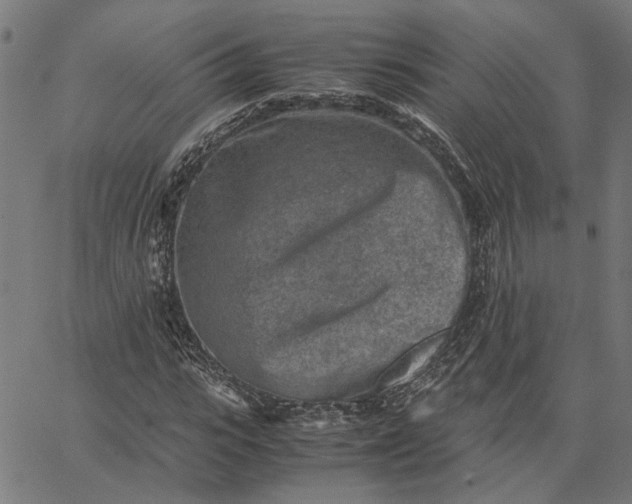 X0000065250919200603031800