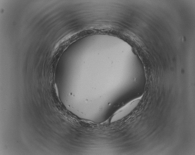 X0000065250920200603031800