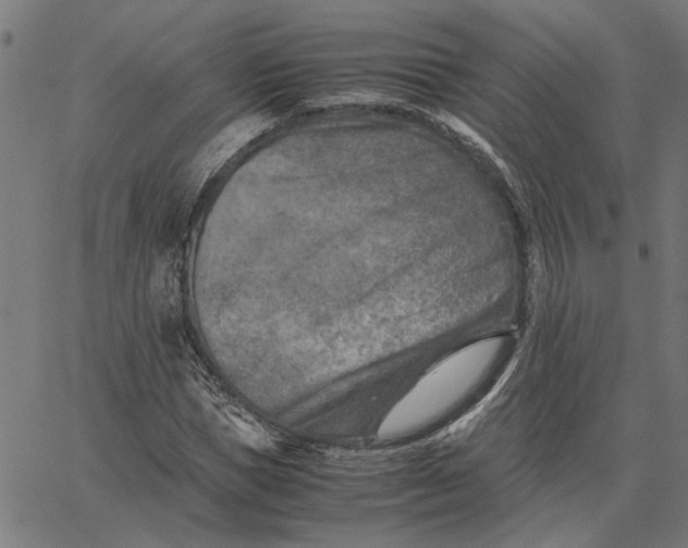 X0000065250921200603031800