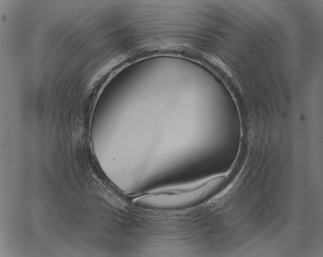 X0000065250922200603031800