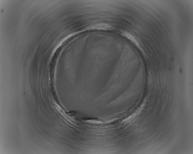 X0000065250923200603031800