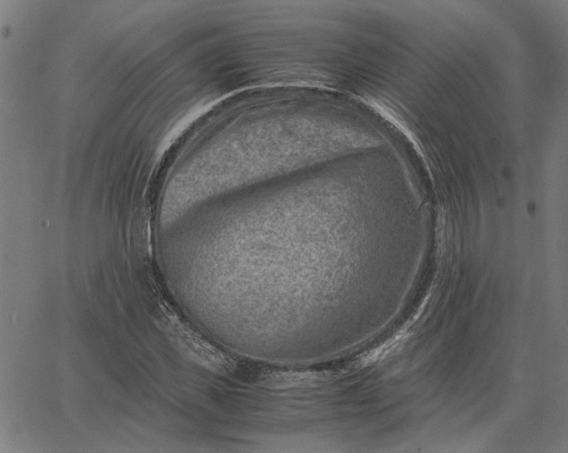 X0000065250925200603031800