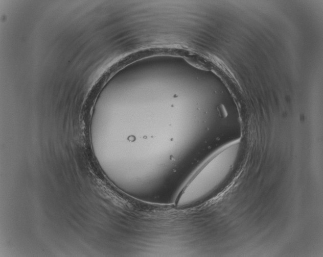 X0000065250926200603031800