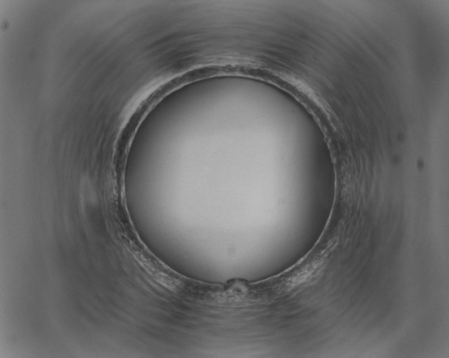 X0000065250927200603031800