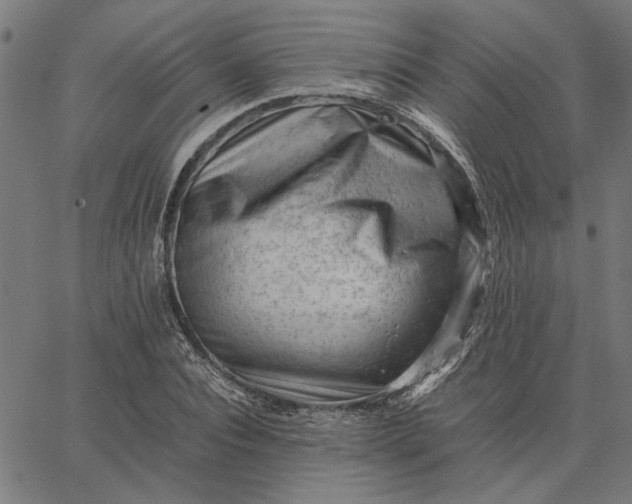 X0000065250928200603031800