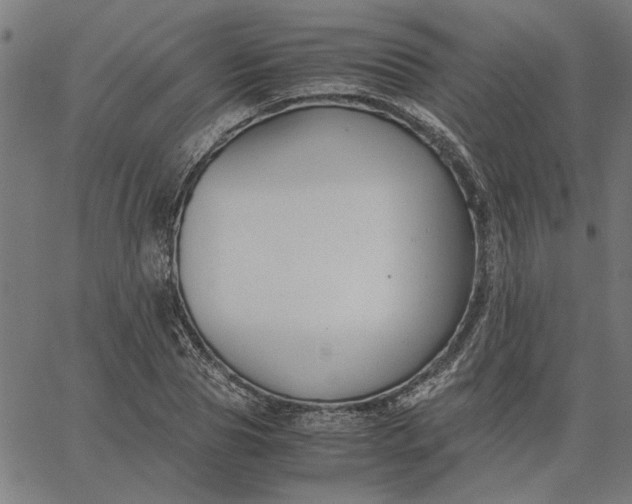 X0000065250929200603031800