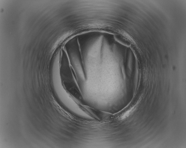 X0000065250930200603031800