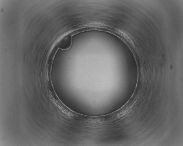 X0000065250931200603031800