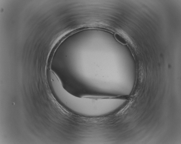 X0000065250932200603031800