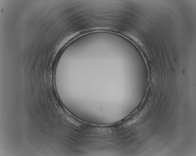 X0000065250933200603031800