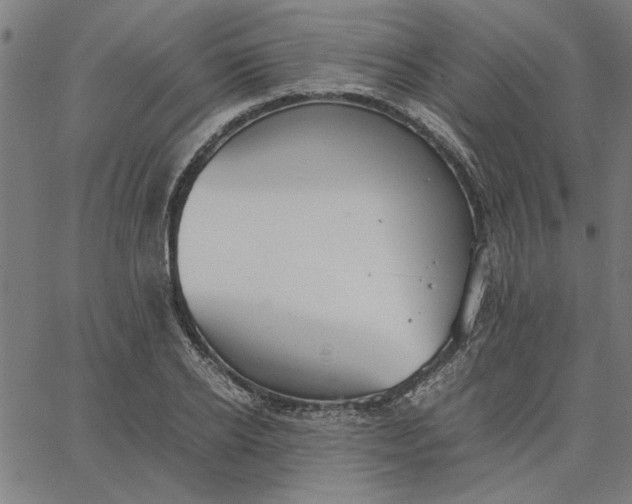 X0000065250934200603031800