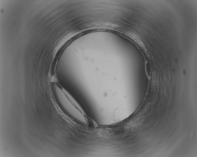 X0000065250936200603031800