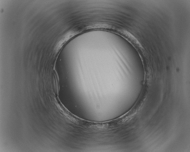 X0000065250937200603031800