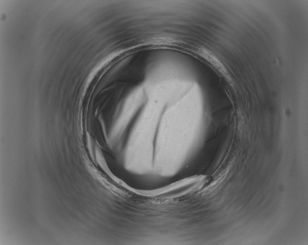 X0000065250939200603031800