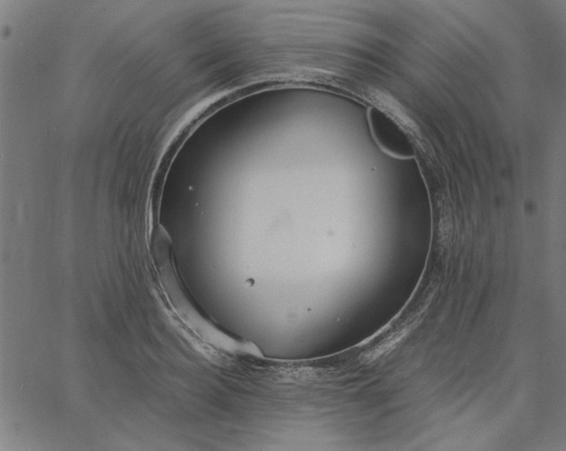 X0000065250940200603031800