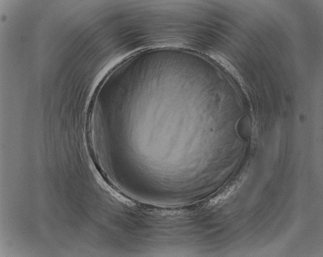 X0000065250941200603031800