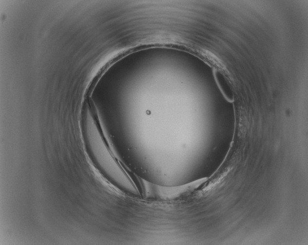 X0000065250942200603031800