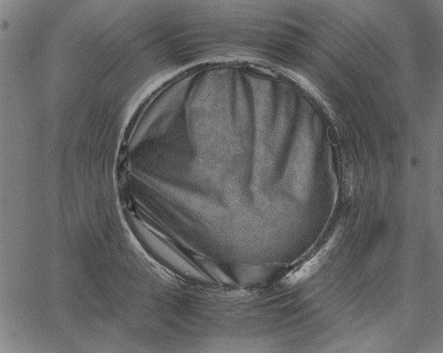 X0000065250943200603031800