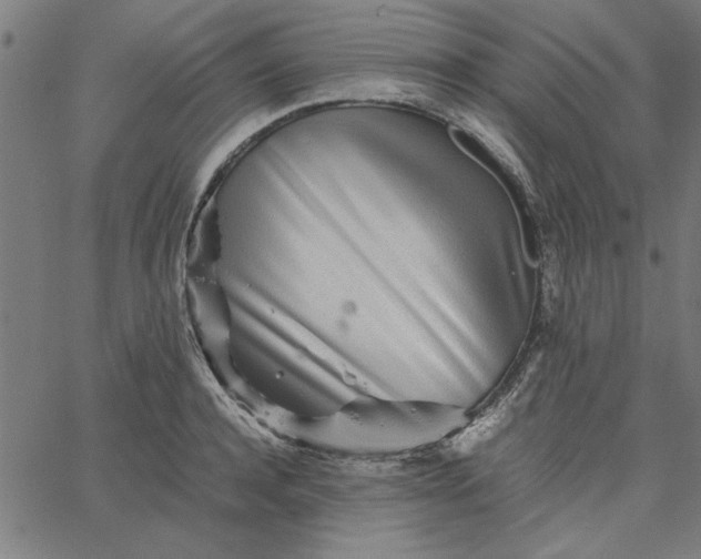 X0000065250944200603031800