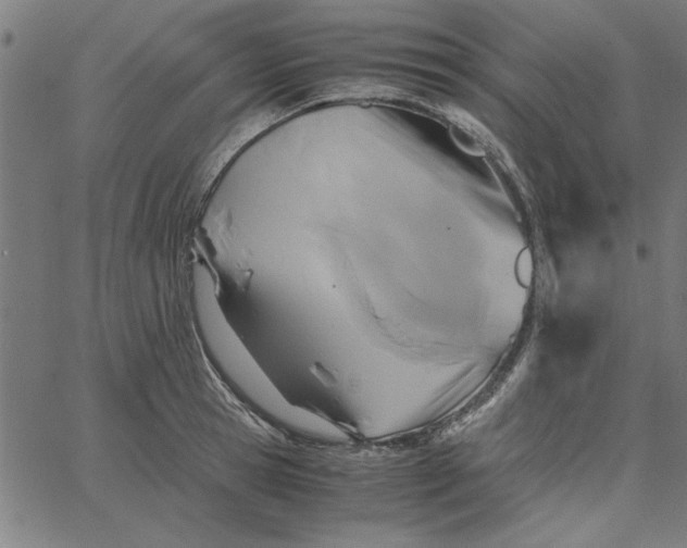 X0000065250945200603031800