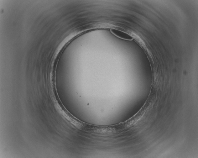 X0000065250947200603031800