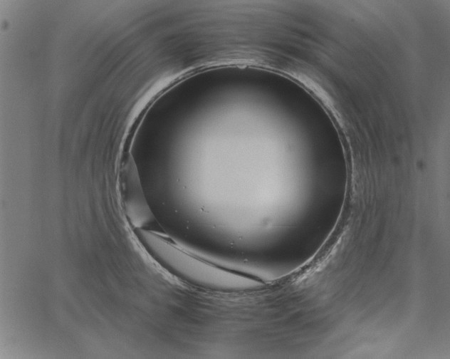 X0000065250949200603031800