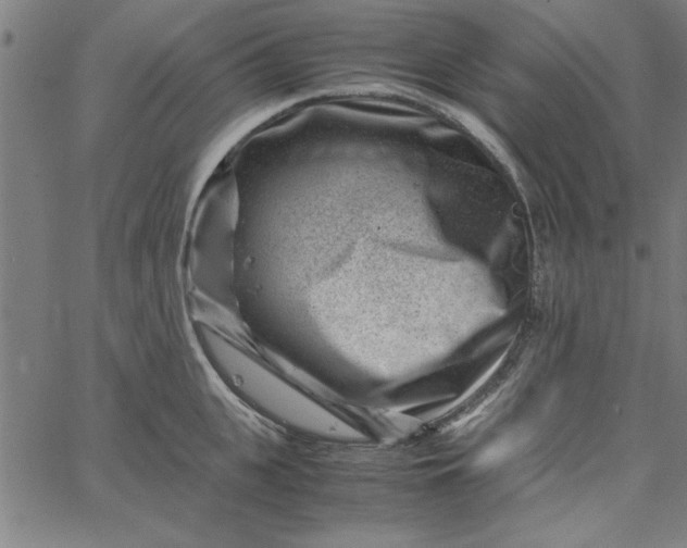 X0000065250951200603031800