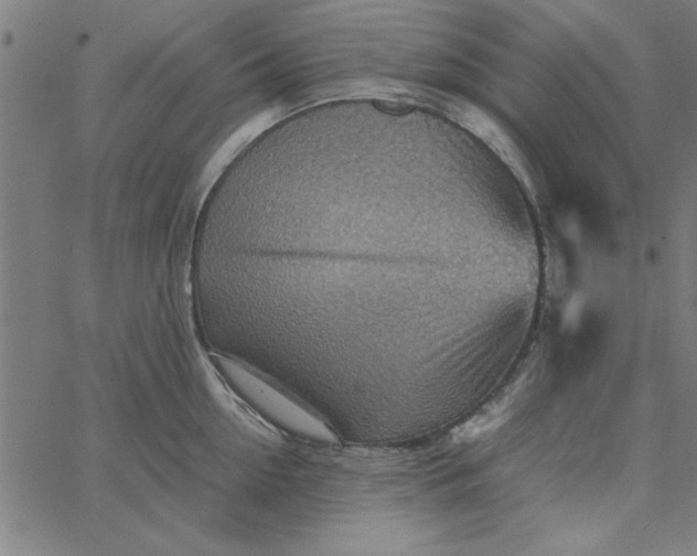 X0000065250954200603031800