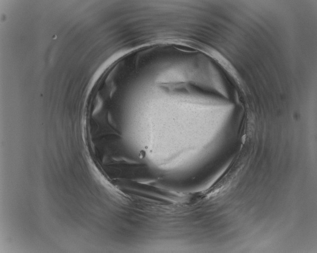 X0000065250955200603031800