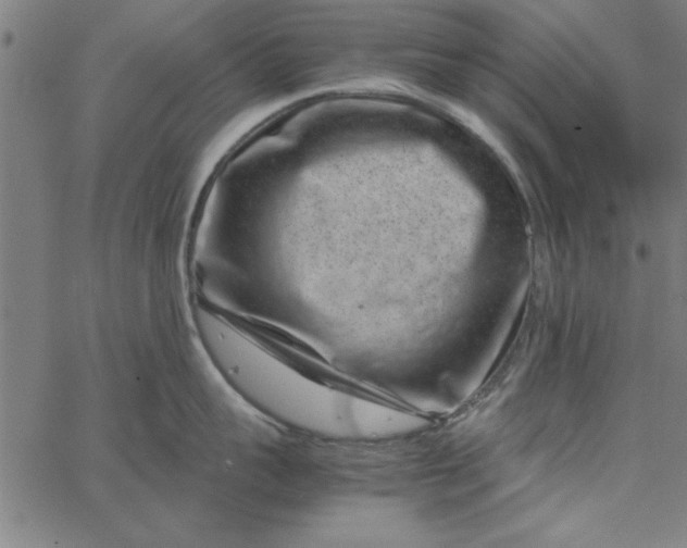 X0000065250959200603031800