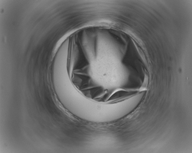 X0000065250960200603031800