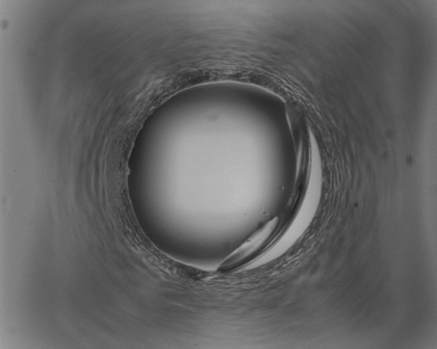 X0000065250961200603031759