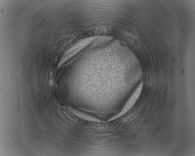 X0000065250962200603031759