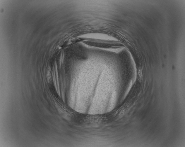 X0000065250963200603031759