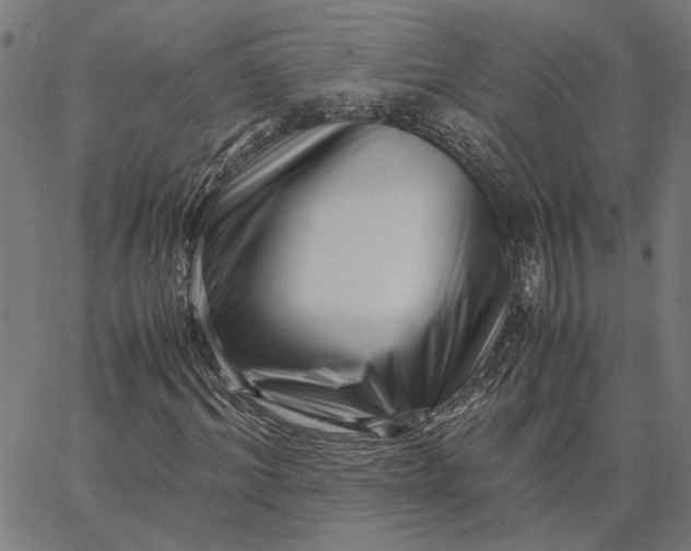 X0000065250964200603031759