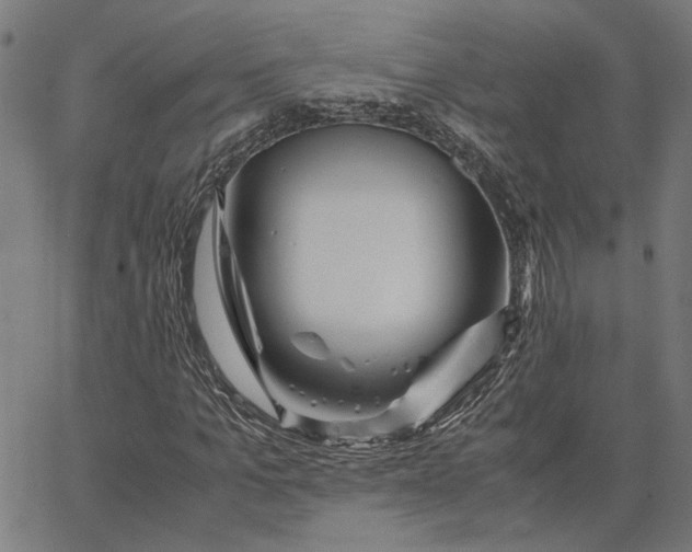 X0000065250965200603031759