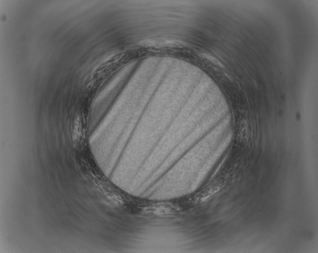 X0000065250966200603031759